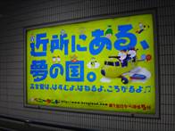 DSC06030.JPG