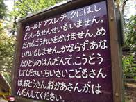 DSC05801.JPG